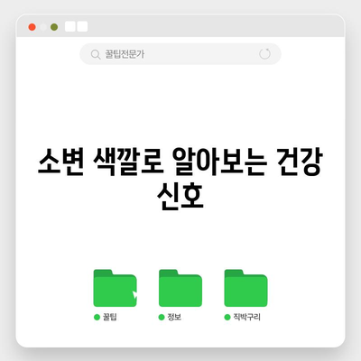 소변 분석을 통한 건강 상태 파악 | 색과 냄새를 읽는 법
