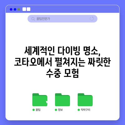 태국 코타오 여행의 모든 것 | 정글 파티, 스쿠버 다이빙, 가볼만한 곳