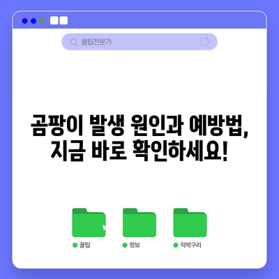 차량 습기 제거법 | 곰팡이와 냄새 예방하기