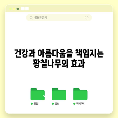황칠나무의 7가지 과학적으로 검증된 효과