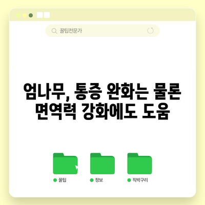 엄나무, 신경통과 관절염을 완화하는 6가지 효능