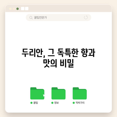 두리안의 달콤한 비밀 | 효능과 칼로리 풀이