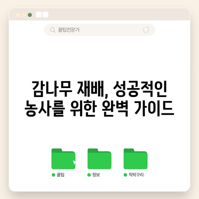 감나무 관리 완전 가이드 | 병충해 방제, 가지치기, 감꽃 솎아주기