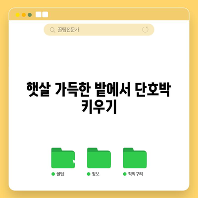 단호박 재배 입문서 | 풍성한 수확을 위한 심기와 관리