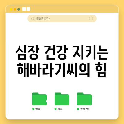 해바라기씨의 영양력 | 건강에 좋은 다양한 효능