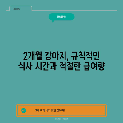 2개월 강아지 케어 가이드 | 사료, 밥 시간, 배변 훈련