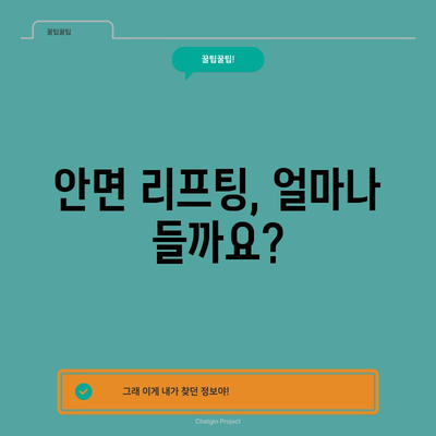 안면 리프팅 비용 분석 | 예산 맞춤한 옵션