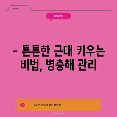 근대 재배 가이드 | 시기와 방법으로 올바르게 키우기
