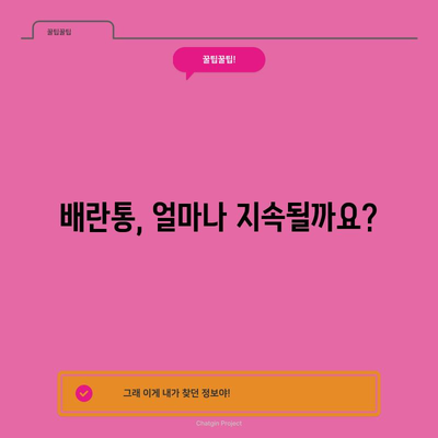 배란통 증상과 기간 이해하기