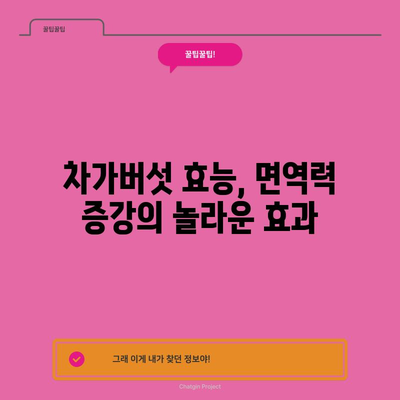 차가버섯의 면역력 증강 효능 | 환절기에 맞서세요