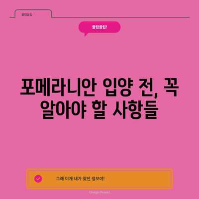 포메라니안 가이드 | 분양 가격, 성격, 입양 전 알아야 할 모든 것