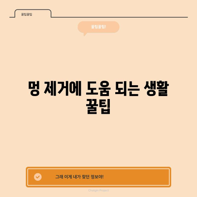 눈 주위 피멍 제거 6가지 | 빠른 회복을 위한 꿀팁