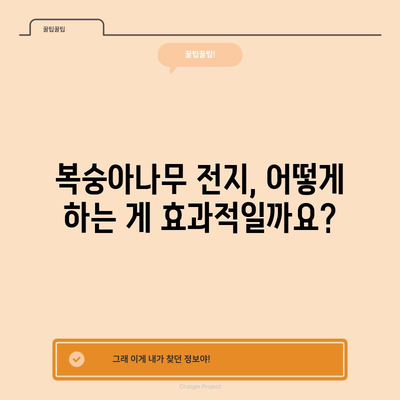 복숭아나무 전지방법 | 여름철 풍부한 수확을 위한 시기와 방법