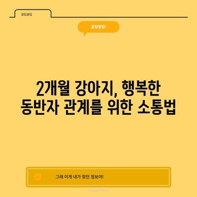 2개월 강아지 케어 가이드 | 사료, 밥 시간, 배변 훈련