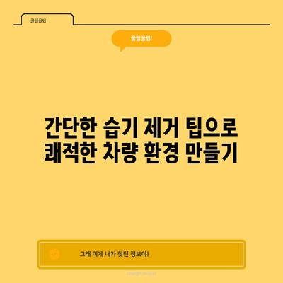 차량 습기 제거법 | 곰팡이와 냄새 예방하기