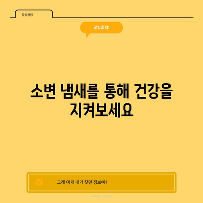 소변 분석을 통한 건강 상태 파악 | 색과 냄새를 읽는 법