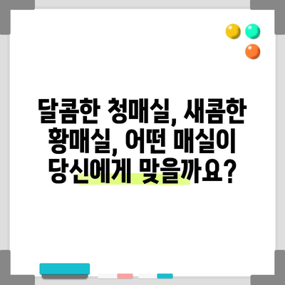매실 수확 완벽 가이드 | 신선한 청매실과 황매실