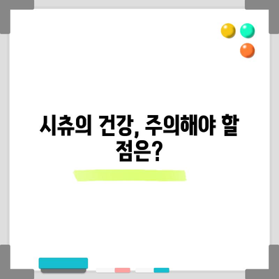 시츄의 수명과 특징 총정리