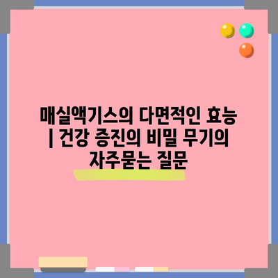 매실액기스의 다면적인 효능 | 건강 증진의 비밀 무기
