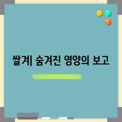 쌀겨의 영양적 이점 | 4가지 건강상 혜택