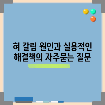 혀 갈림 원인과 실용적인 해결책