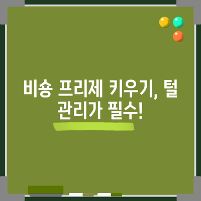 비숑 프리제의 분양 가격과 성격