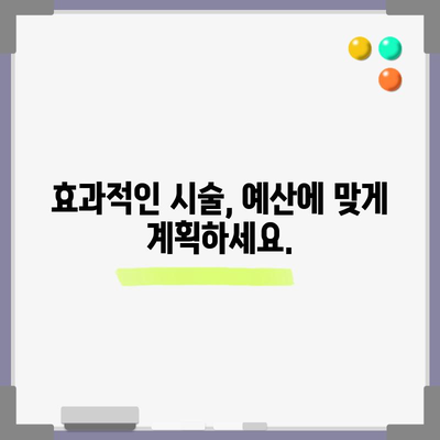 인트라셀 레이저 비용 가이드 | 예산 관리