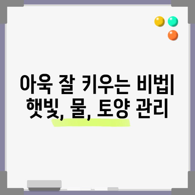 아욱 심기의 비결 | 봄, 여름, 가을, 겨울에 맞는 방법