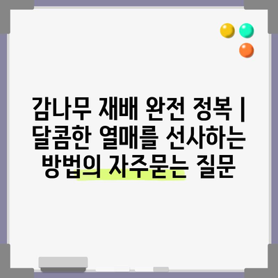 감나무 재배 완전 정복 | 달콤한 열매를 선사하는 방법