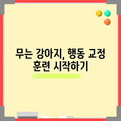 무는 강아지 원인과 교정 훈련