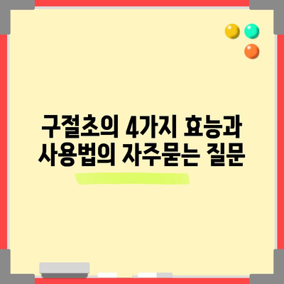 구절초의 4가지 효능과 사용법