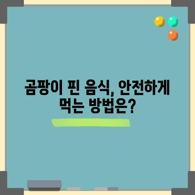곰팡이 낀 음식 섭취 시 위험성 | 30초 요약