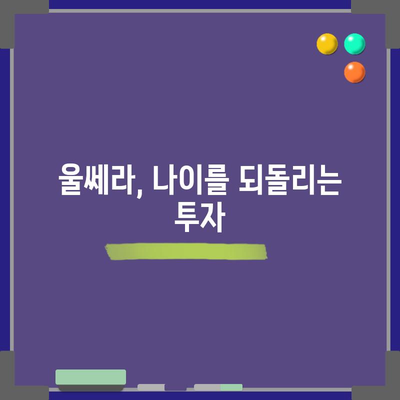 울쎄라 비용 | 젊은 피부를 위한 가치적 투자