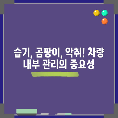 차량 습기 제거법 | 곰팡이와 냄새 예방하기