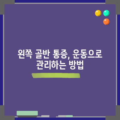 왼쪽 골반 통증의 원인과 해결 방법