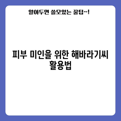 해바라기씨의 영양력 | 건강에 좋은 다양한 효능