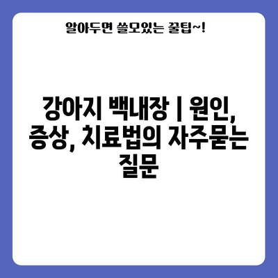 강아지 백내장 | 원인, 증상, 치료법