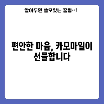 카모마일의 다양한 건강상 효능