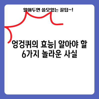 엉겅퀴의 강력한 효능 | 6가지 놀라운 이점