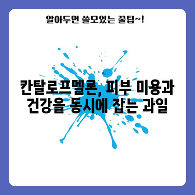 칸탈로프멜론의 숨겨진 효능 | 영양가 넘치는 여름 과일