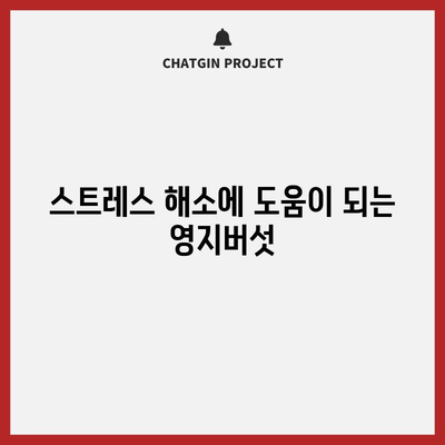 영지버섯의 6가지 건강상 혜택