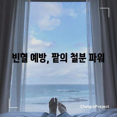 붉은 보석 팥의 다양한 6가지 건강상의 이점