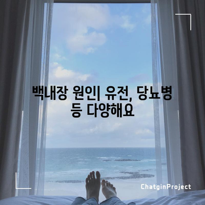 강아지 백내장 | 원인, 증상, 치료법