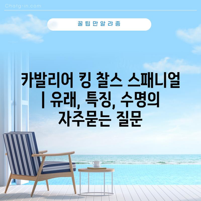 카발리어 킹 찰스 스패니얼 | 유래, 특징, 수명
