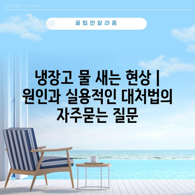 냉장고 물 새는 현상 | 원인과 실용적인 대처법