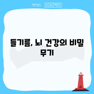 들기름의 6가지 필수 영양소 | 피부 건강부터 면역력까지