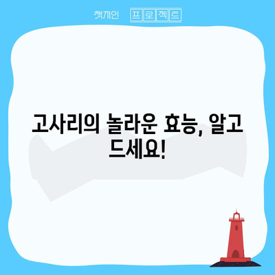고사리의 5가지 효능과 맛있는 요리법