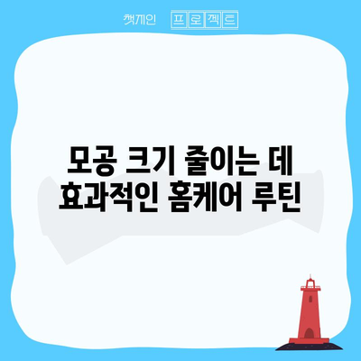 모공 크기 줄이는 확실한 팁