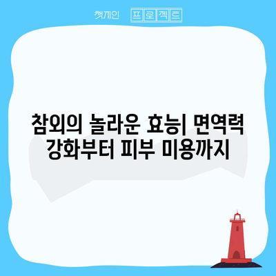 다목적 참외 | 건강상 이점과 섭취 방법