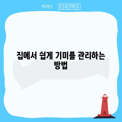 얼굴 기미 제거 | 집에서 잡티 완전히 없애는 방법
